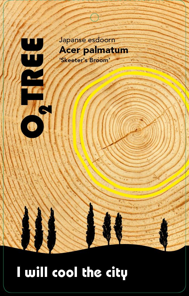 acer-palmatum-skeeter-s-broom-thema