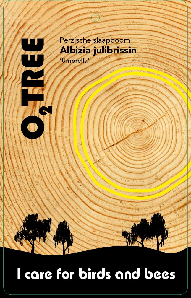 albizia-julibrissin-umbrella-thema