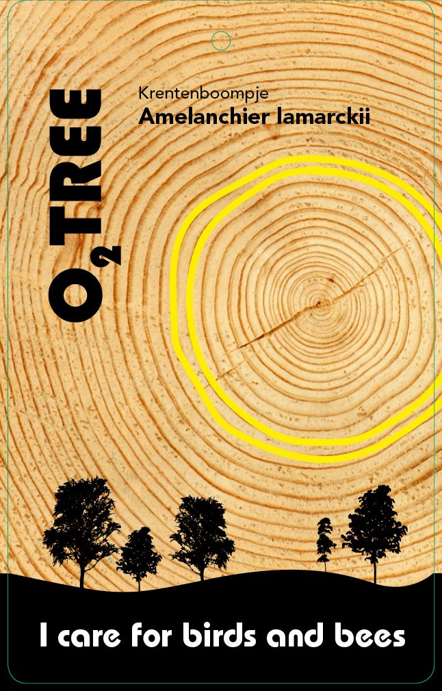 amelanchier-lamarckii-thema
