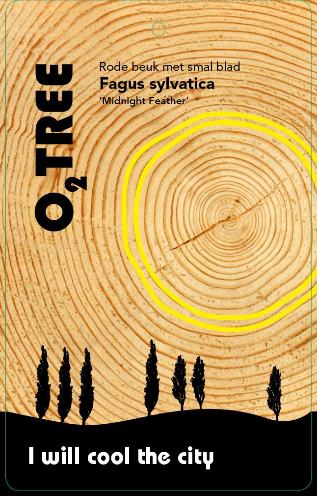 fagus-sylvatica-midnight-feather-thema