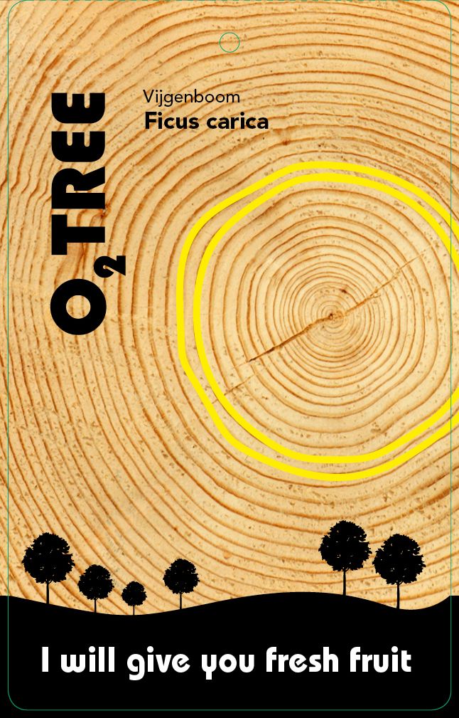 ficus-carica-thema