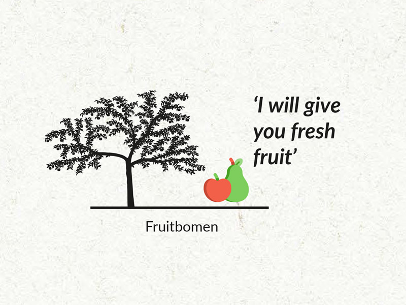 fruitbomen