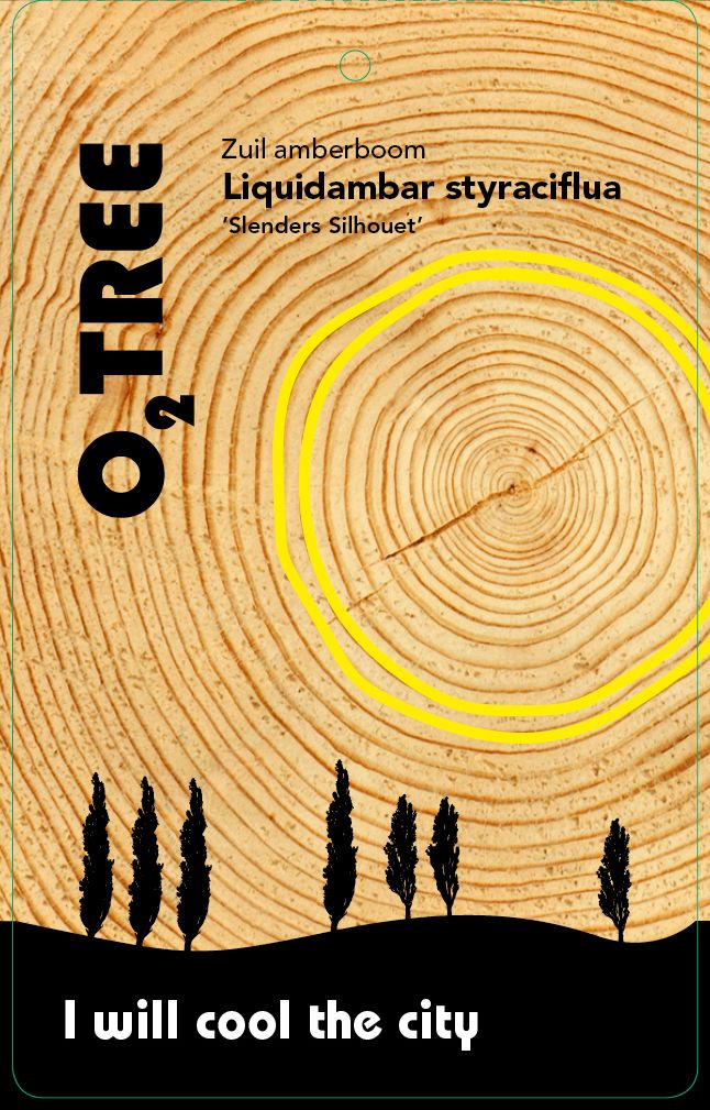 liquidambar-styraciflua-slenders-silhouet-thema