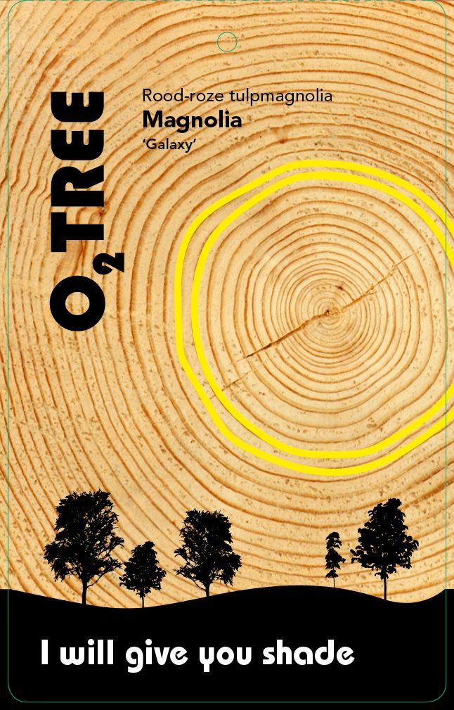 magnolia-galaxy-thema