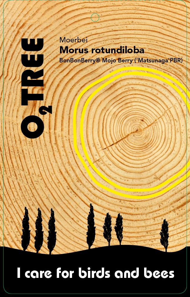 morus-rotundiloba-bonbonberry-mojo-berry-thema