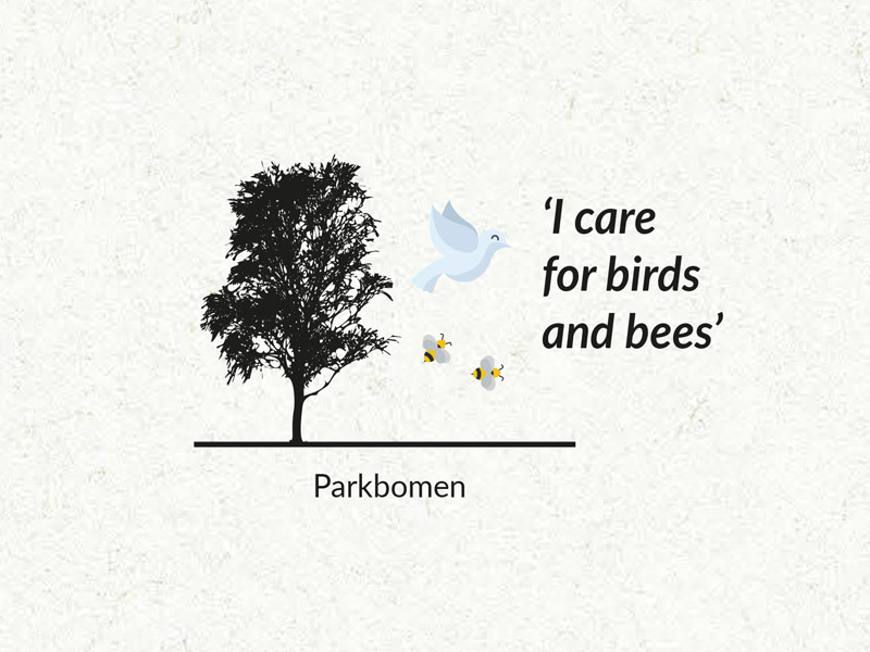 parkbomen