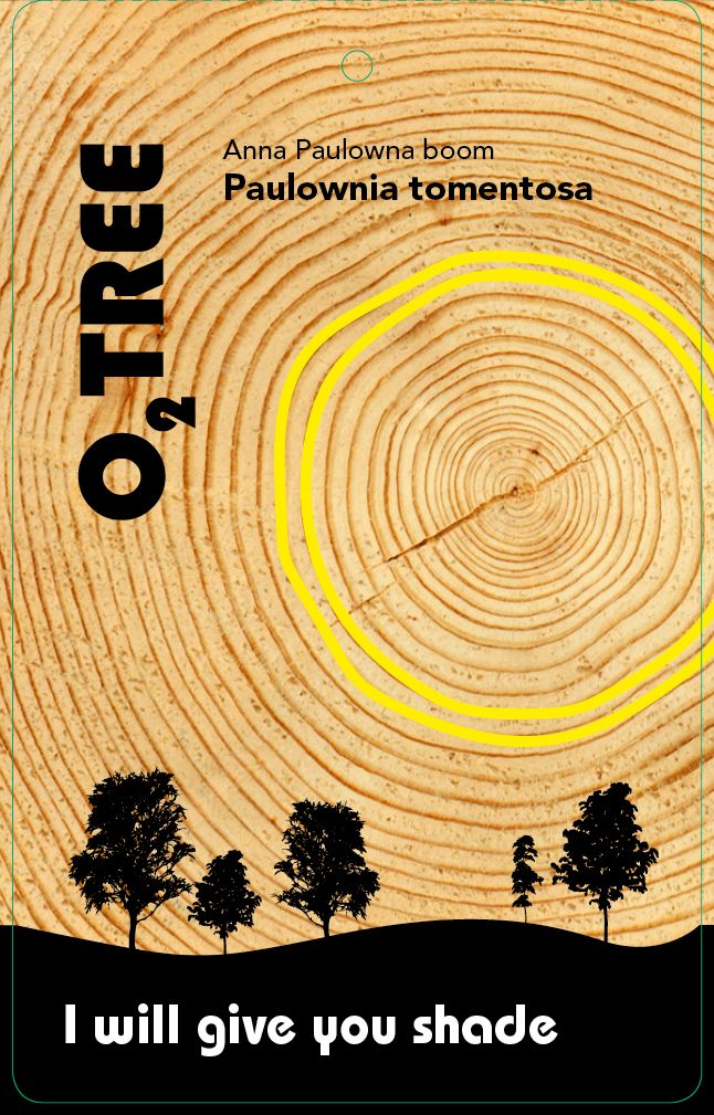 paulownia-tomentosa-thema