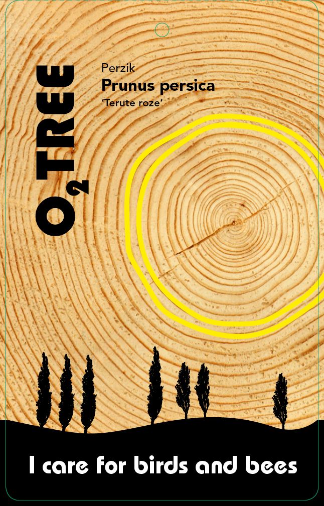 prunus-persica-terute-roze-thema