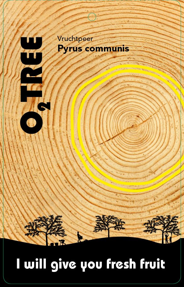 pyrus-communis-thema