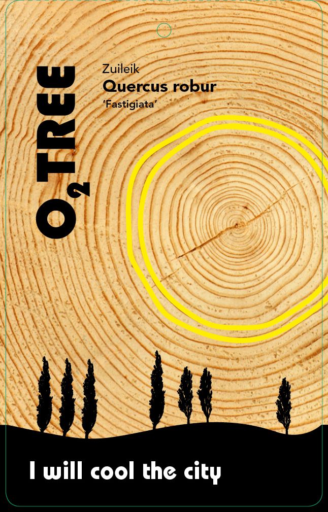 quercus-robur-fastigiata-thema