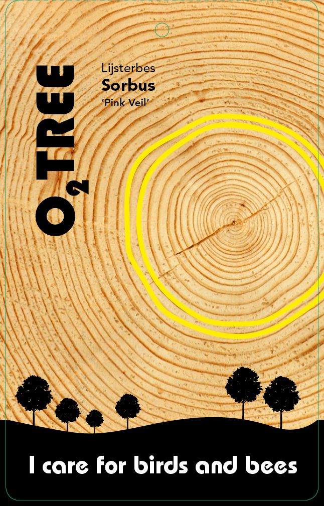 sorbus-pink-veil-thema