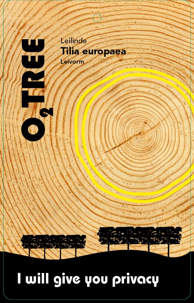 tilia-europaea-leivorm-thema